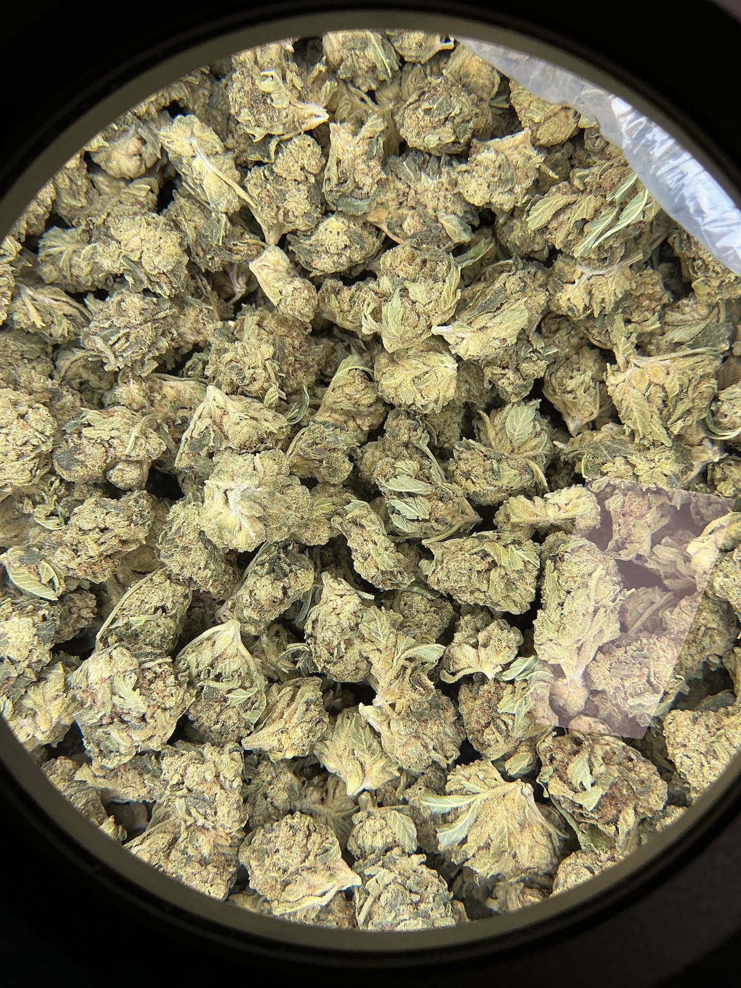 Sticky Glue THCa Flower (Budget) / 3.5 Grams (1/8th)